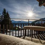 Apartamento Anna Isabelle Penthouse Riederalp